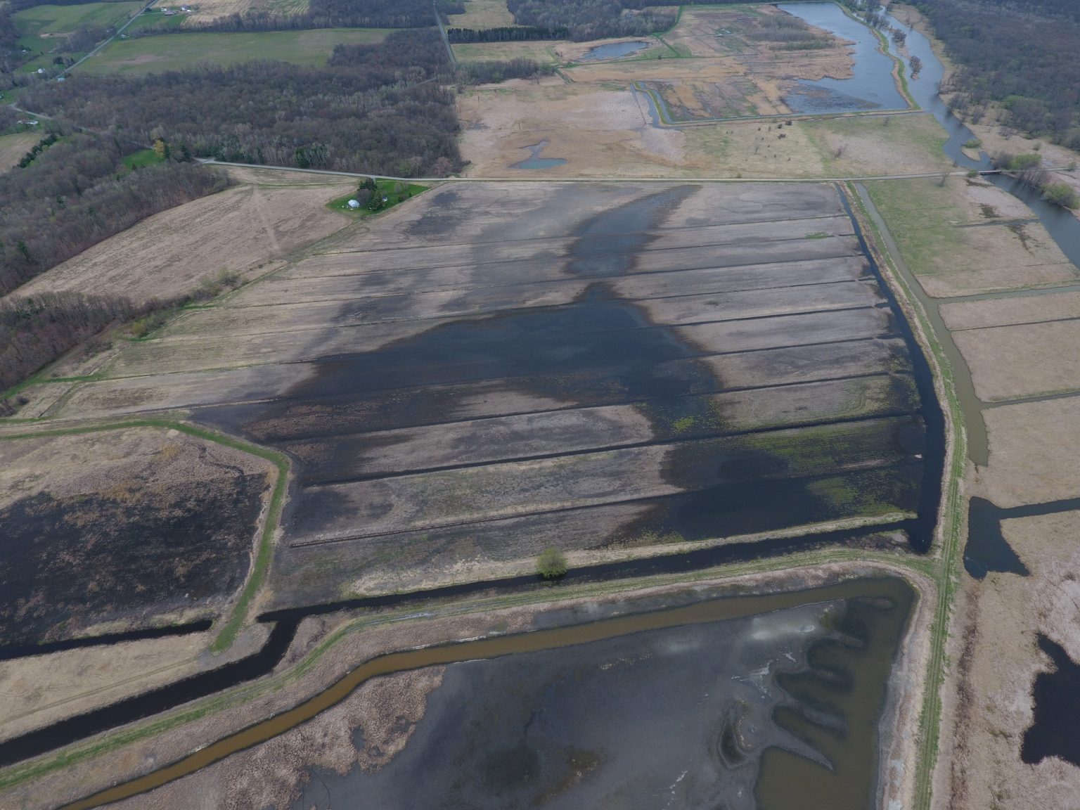 Freshwater Wetland Restoration: Part 2 - The Drawdown